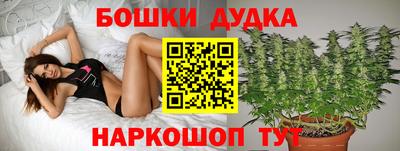 наркотики Дубна